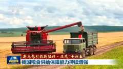 <b>【新思惟引领新征程不凡十四五】我国粮食供给</b>